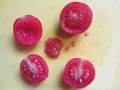 come raccogliere i semi di pomodoro