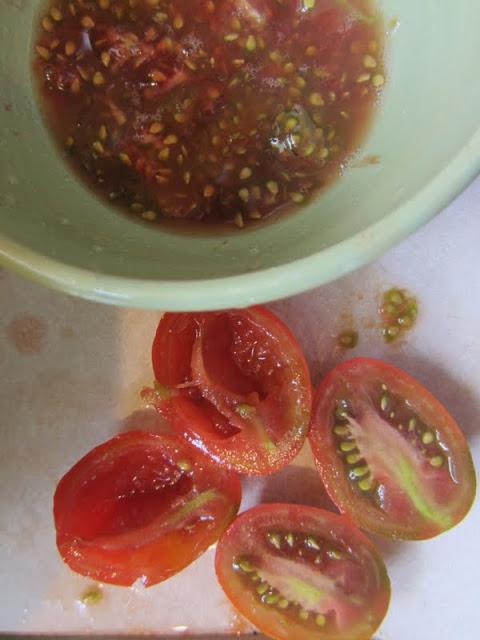 come raccogliere i semi di pomodoro