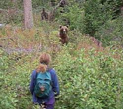 cosa fare se ho incontrato un orso nella foresta in estate