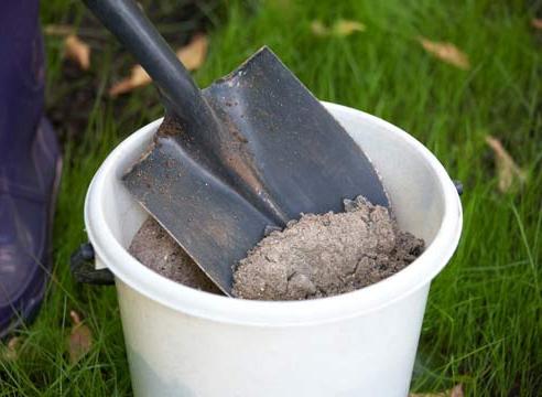 Top dressing di pomodori per uno sviluppo migliore della piantina