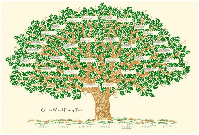 Come creare un albero genealogico. Il programma per la costruzione di un albero genealogico