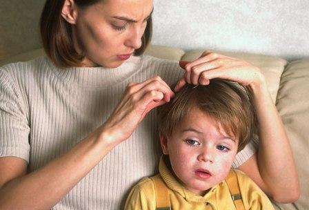 pediculosi in un bambino