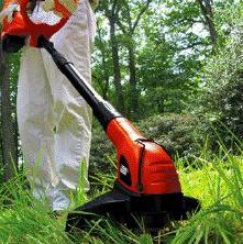 Stihl Gasoline: la scelta di milioni