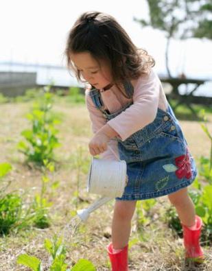 Come decorare facilmente e semplicemente il tuo giardino con le tue mani