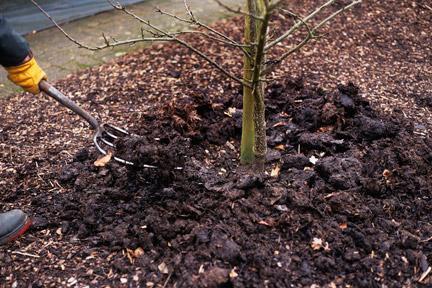 Piantagione di alberi da frutto nella zona suburbana