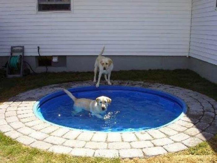 Piscina fatta in casa nel paese: materiali, tecnologia di produzione