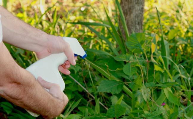 aceto di soda contro le erbacce