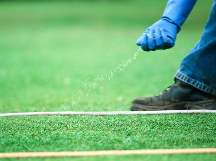 quali fertilizzanti sono necessari per un prato in primavera