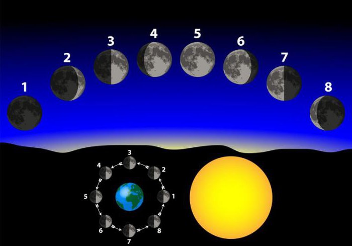 Transito astrologico predittivo