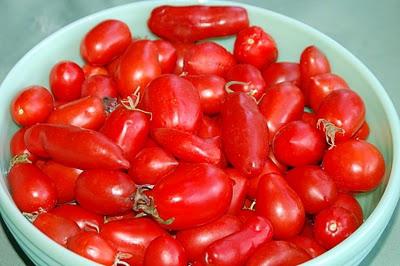 Pomodori a botte