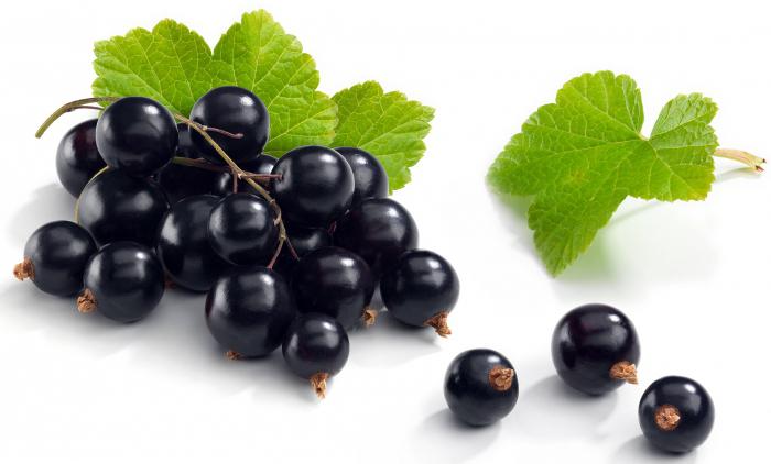 di utile ribes nero per l'uomo