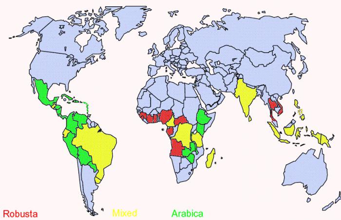 paesi in cui viene coltivato il caffè 