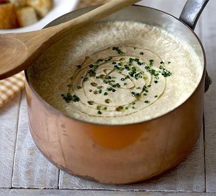 Zuppa di crema di champignon con crema: ricette