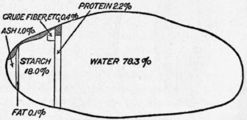 valore nutrizionale di patate in 100 g