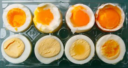durata di conservazione delle uova di gallina