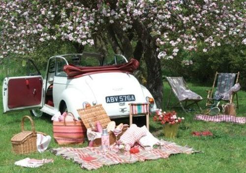 Snack per un picnic in natura: diverse opzioni interessanti