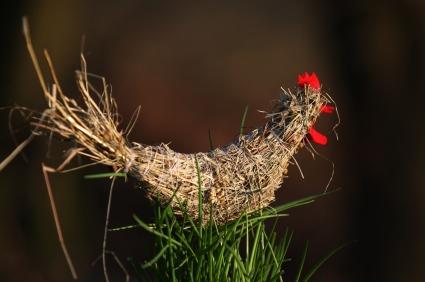 Artigianato creativo per il giardino