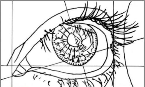 Come disegnare un occhio a matita in più fasi