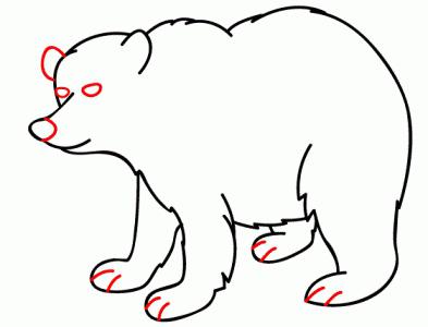 Come disegnare un orso: istruzioni passo passo