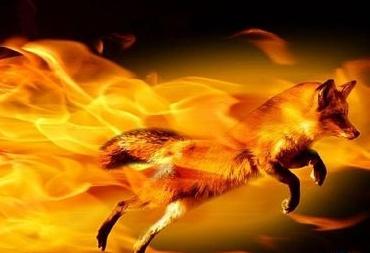 Come aggiornare Firefox senza problemi