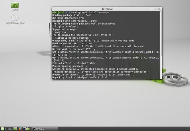 Linux Mint come installare: istruzioni, caratteristiche e recensioni passo-passo