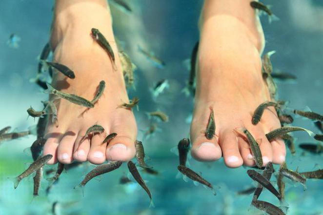 pedicure sul mare