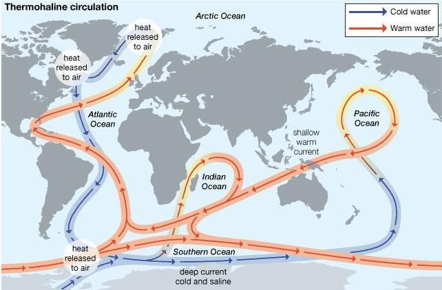 circolazione termoalina dell'oceano mondiale