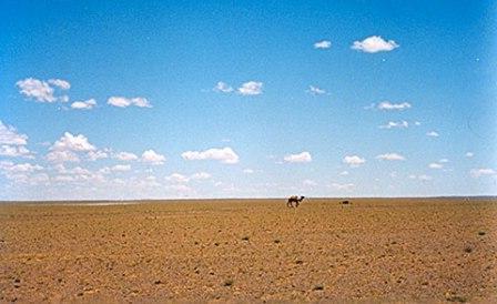 il clima della Mongolia in breve