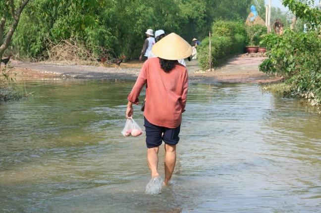 Clima del Vietnam