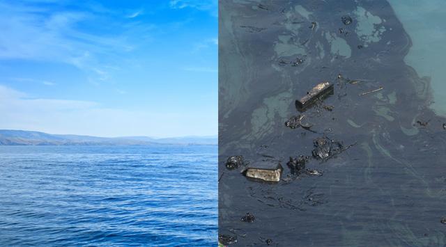 I principali problemi ambientali del Mar Nero