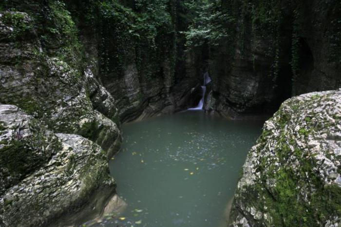 Parco nazionale di Sochi: storia e modernità