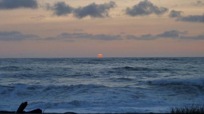 a quale oceano appartiene Tasman Sea