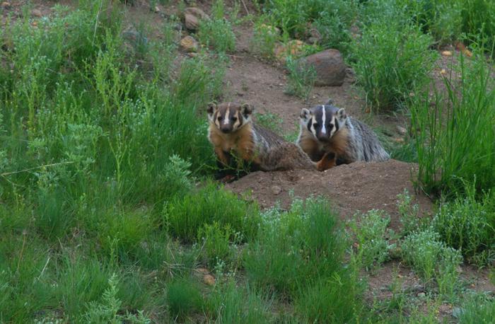 parchi nazionali riserve naturali della regione di Samara