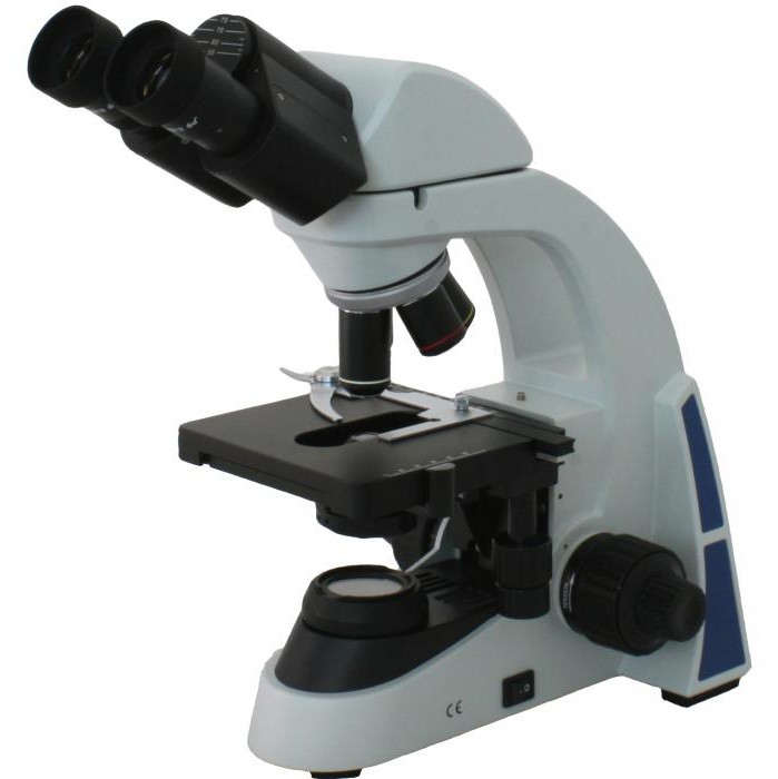 Come scegliere un microscopio per uno scolaro?