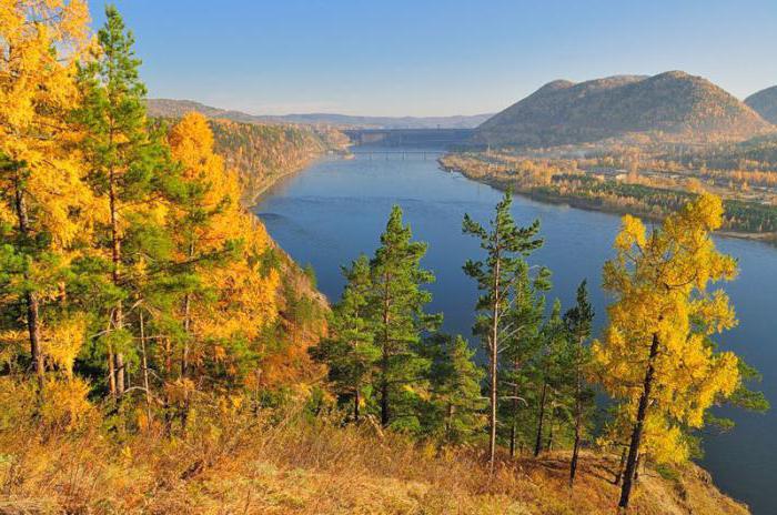 Quale fiume è più lungo: il Volga o lo Yenisei? Caratteristiche di due fiumi