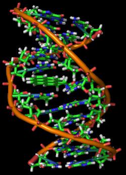 Variabilità combinatoria e suo significato evolutivo