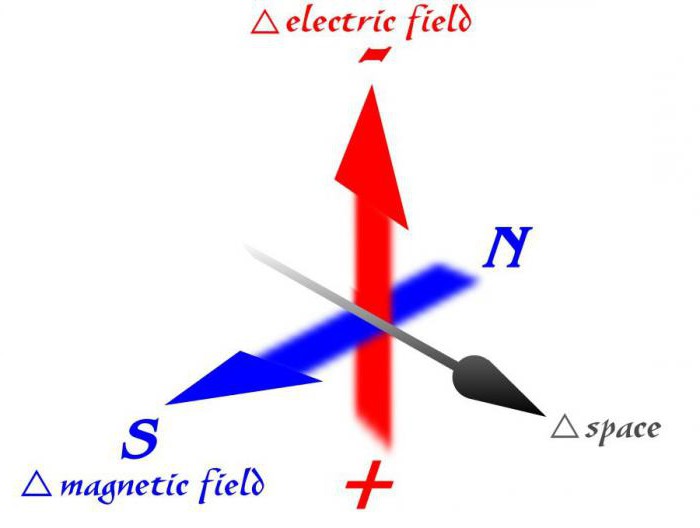 che è una caratteristica del campo magnetico