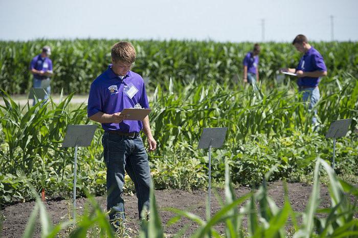 Università agraria di Saratov intitolata a Vavilov