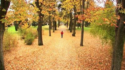 Analisi del poema "Autunno" Karamzin N. M.