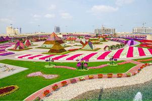 Meraviglia araba del mondo: un parco di fiori a Dubai