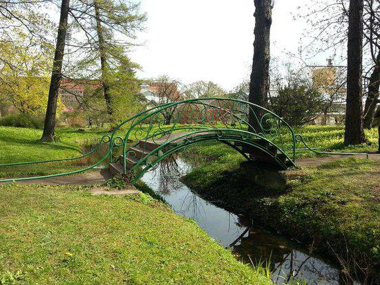 Il giardino botanico di Pietro il Grande a San Pietroburgo: storia, indirizzo e foto