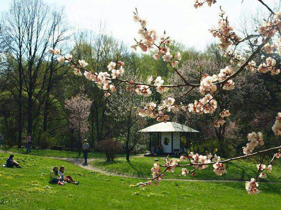 Cestino del giardino botanico