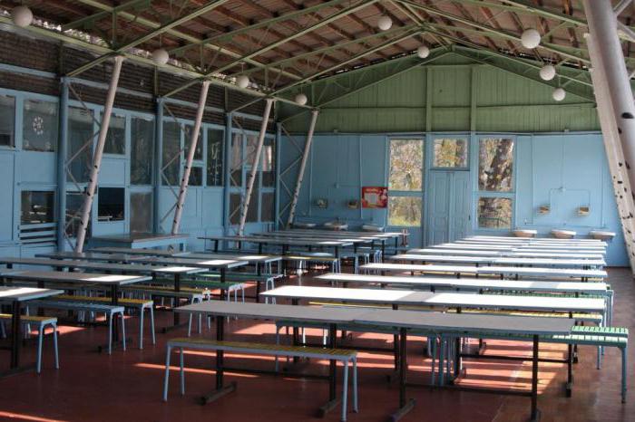 campo per bambini della foresta di lucioperca