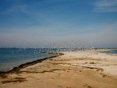 Attrazioni di Berdyansk: il mare, l'aria e l'acqua?