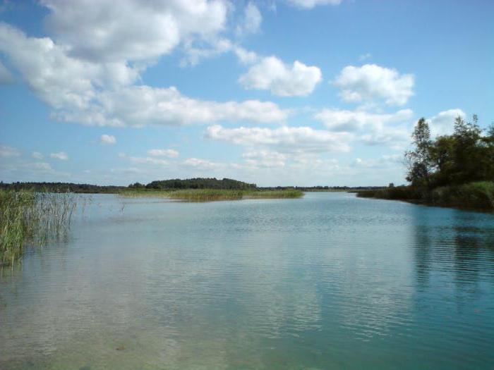 Ci fermeremo sui laghi blu della regione di Leningrado