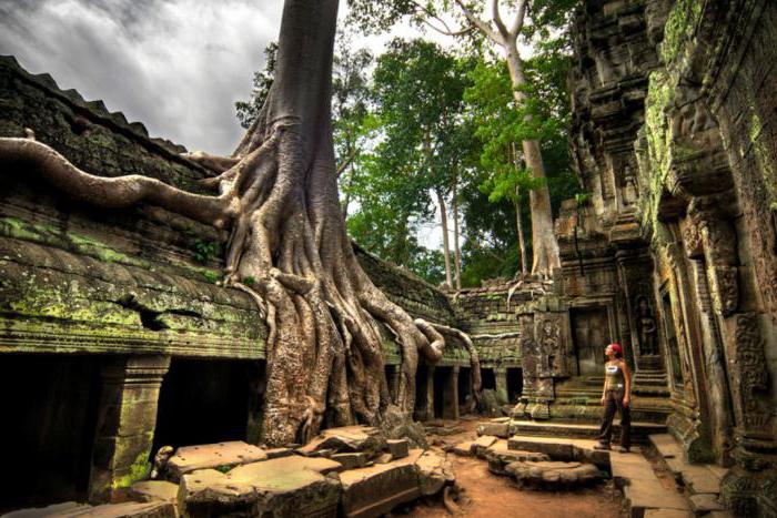 Dov'è la Cambogia e quanto volare?