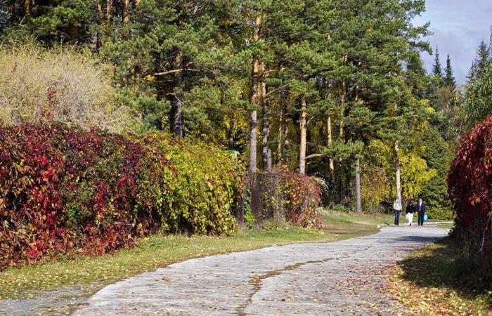 Il principale giardino botanico di Tsitsin