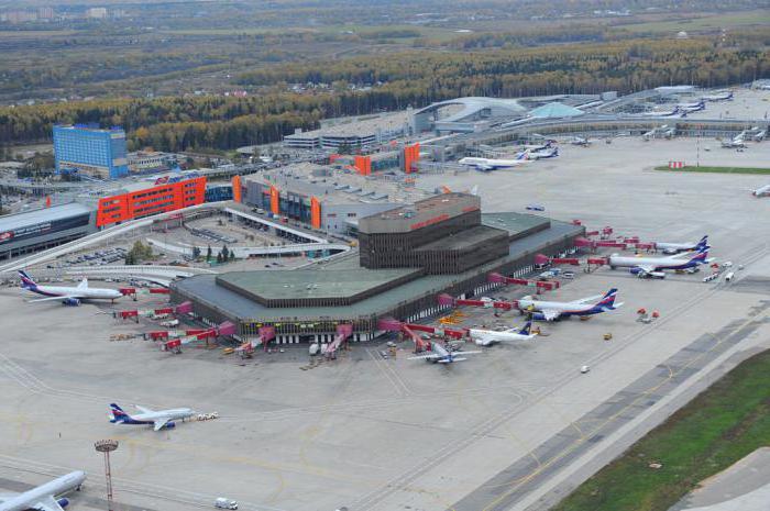 Studio del piano aeroportuale Sheremetyevo - assistenza per i passeggeri
