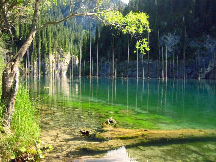 Laghi Kolsai