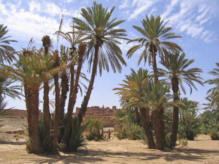 Riposo in Marocco ad ottobre: ​​recensioni di turisti. La temperatura dell'acqua e dell'aria in Marocco in autunno